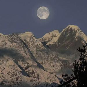 扒开🐻让我❌❌❌蜜桃视频-百度
