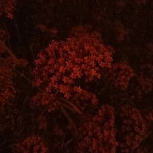 扒开🐻让我❌❌❌蜜桃视频-百度
