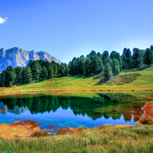 扒开🐻让我❌❌❌蜜桃视频-百度
